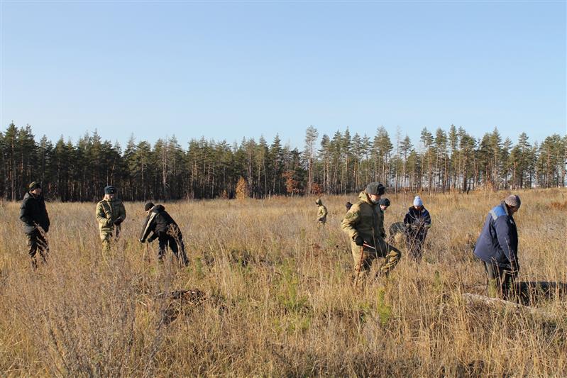 Военнослужащие Росгвардии приняли участие в акции «Лес Победы» в Тольятти