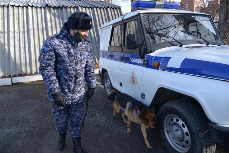 Сбор специалистов-кинологов Росгвардии состоялся в Свердловской области 