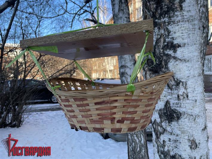 Акция «Спешите делать добрые дела!» стартовала в Иркутской области. Первыми участниками мероприятия стали воспитанники класса Росгвардии, которые позаботились о зимующих птицах