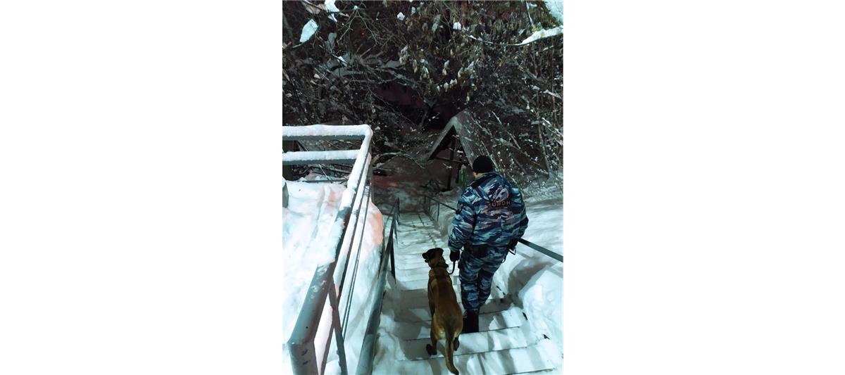 В Приволжье росгвардейцы обеспечили безопасность празднования Крещения Господня