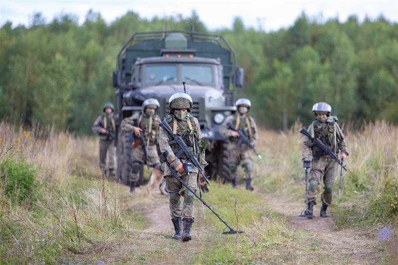 Применение инженерных подразделений войск национальной гвардии по предназначению