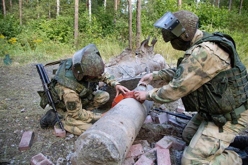 Применение инженерных подразделений войск национальной гвардии по предназначению