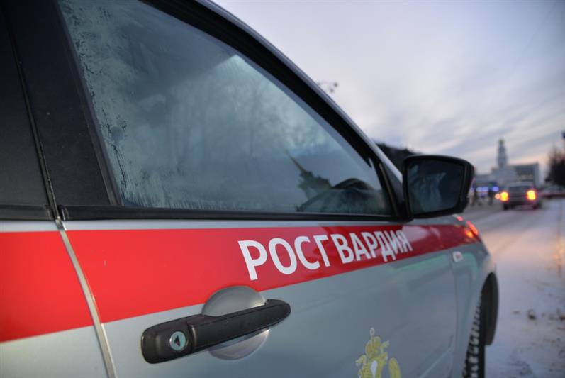 На Среднем Урале сотрудники Росгвардии участвуют в межведомственном профилактическом мероприятии