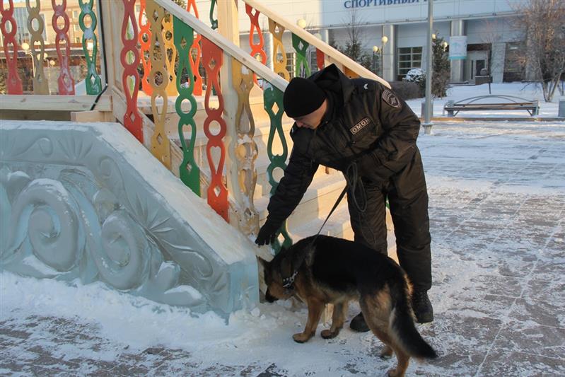 Росгвардия обеспечила безопасность граждан в новогоднюю ночь на Урале