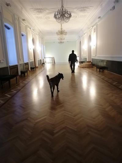На Южном Урале сотрудники ОМОН Росгвардии обеспечивают общественную безопасность праздничных мероприятий