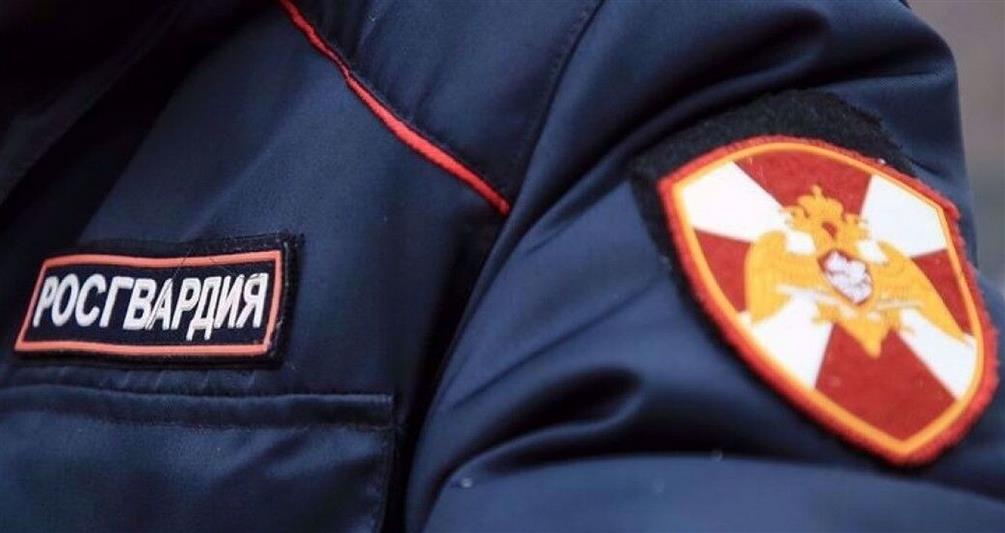 Напавшего на бригаду «скорой помощи» мужчину задержали росгвардейцы в Барнауле