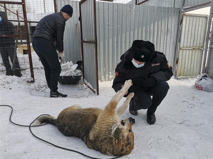 Росгвардейцы оказали помощь приюту для бездомных животных в Кузбассе