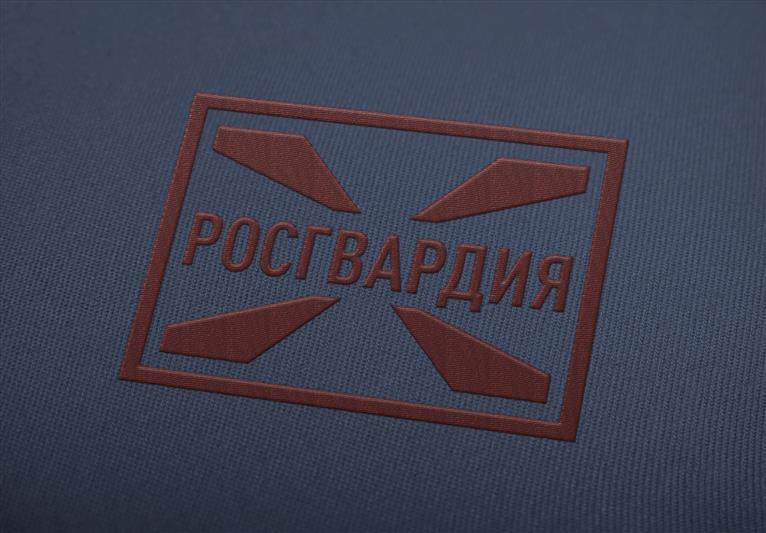 Столичные росгвардейцы блокировали автомобиль, объявленный в федеральный розыск