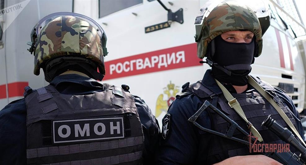 В Красноярском крае при содействии Росгвардии пресечена деятельность по незаконной рубке леса