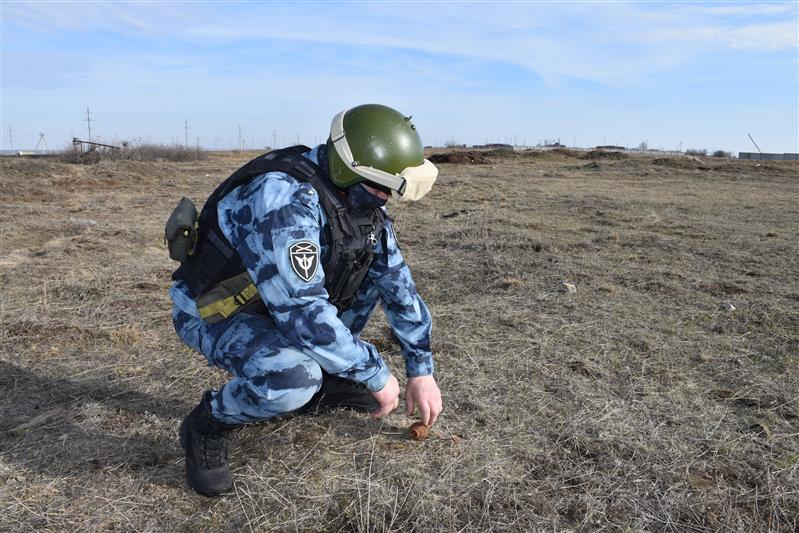 Взрывотехники Росгвардии обследовали похожий на боеприпас предмет в Республике Калмыкия