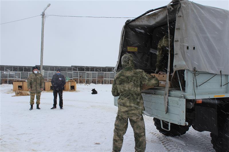 Росгвардейцы-кинологи оказали волонтерскую помощь саратовскому специализированному приюту для бездомных животных