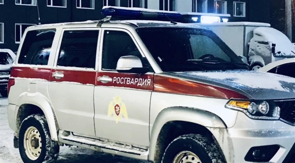 В Архангельской области росгвардейцы задержали водителя, покинувшего место совершения ДТП