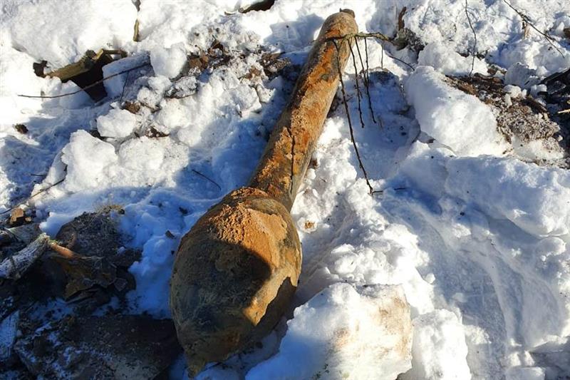 В Ленинградской области взрывотехники ОМОН обследовали фугасный снаряд времён войны, обнаруженный в садоводстве 