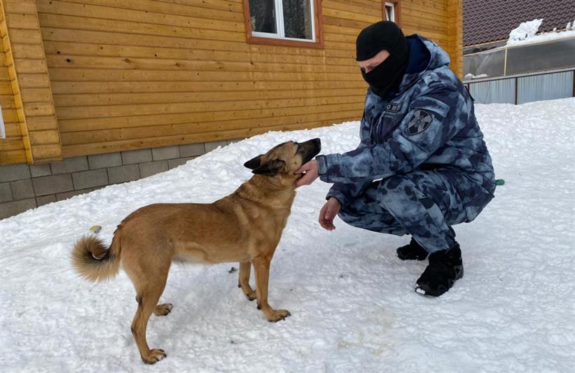 В Уфе росгвардейцы провели благотворительную акцию для филиала приюта для бездомных собак «Добрые руки»