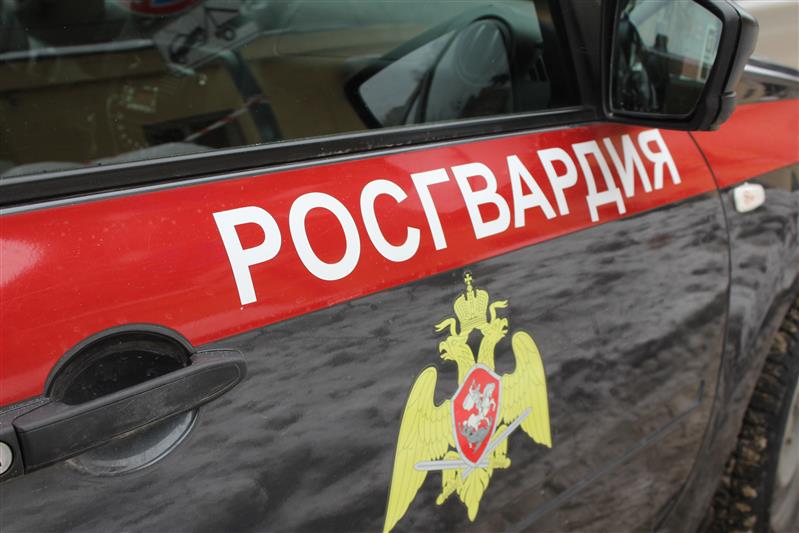 В Саратовской области сотрудники Росгвардии и полиции задержали подозреваемую в тяжком преступлении