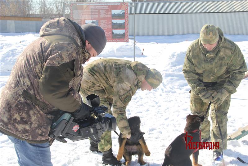 Росгвардейцы стали участниками специального телерепортажа телеканала «Тюменское время»(видео)