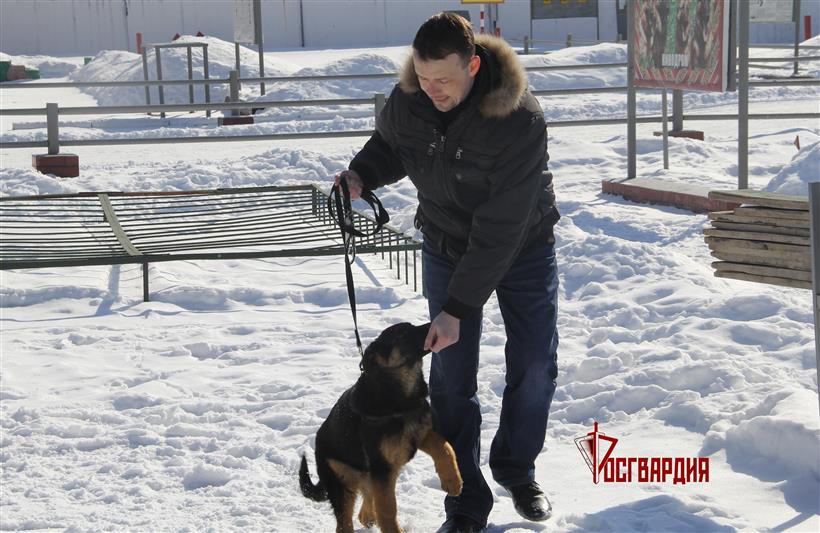 Росгвардейцы стали участниками специального телерепортажа телеканала «Тюменское время»(видео)