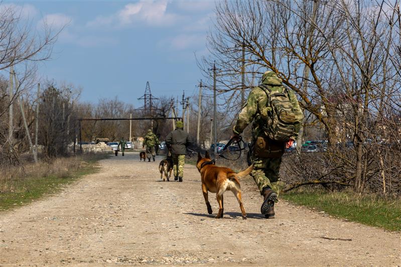 В Зеленокумске стартовали сборы кинологов Росгвардии