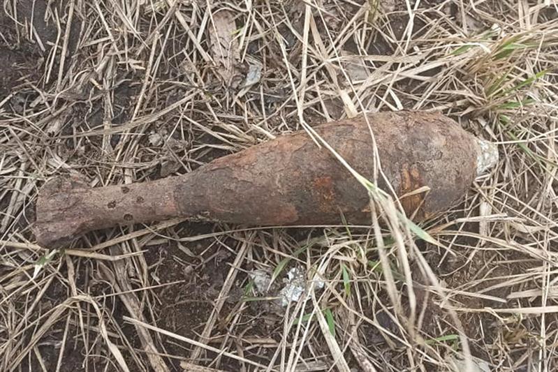 Взрывотехники ОМОН обезвредили боеприпас времён войны, обнаруженный в Петергофе