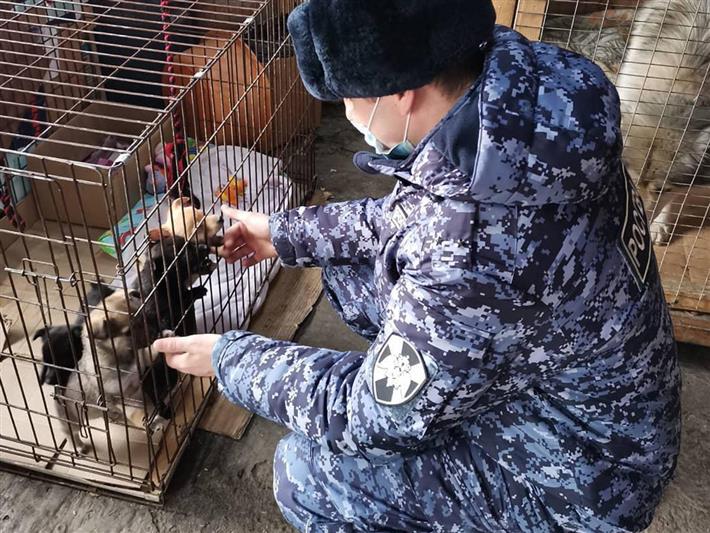 В Кузбассе военнослужащие Росгвардии продолжают помогать приюту для бездомных животных