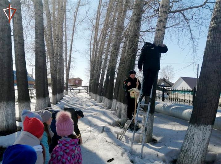 В Новосибирской области сотрудники Росгвардии провели акцию «Птичий дом»
