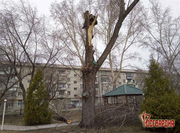 В Курганской области росгвардейцы приняли участие в субботниках и оказали помощь в благоустройстве территории подшефного детского дома