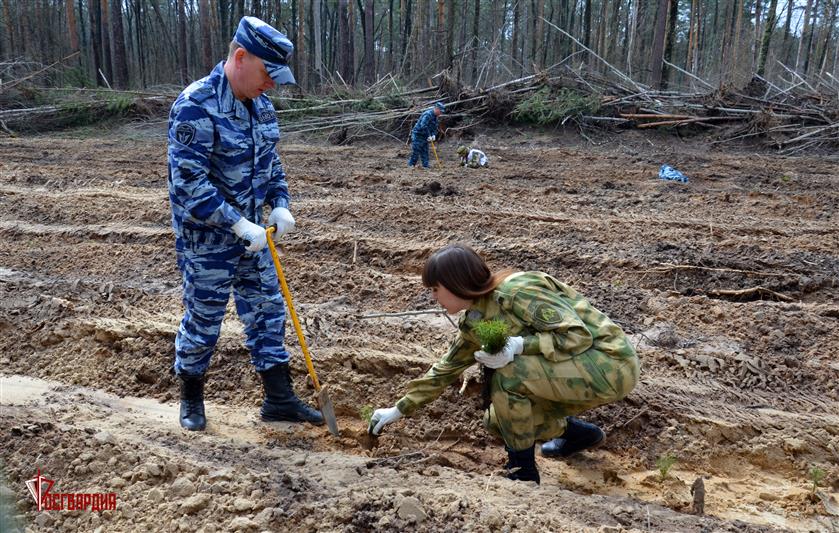 В Тамбовской области росгвардейцы присоединились к Международной акции «Сад памяти»