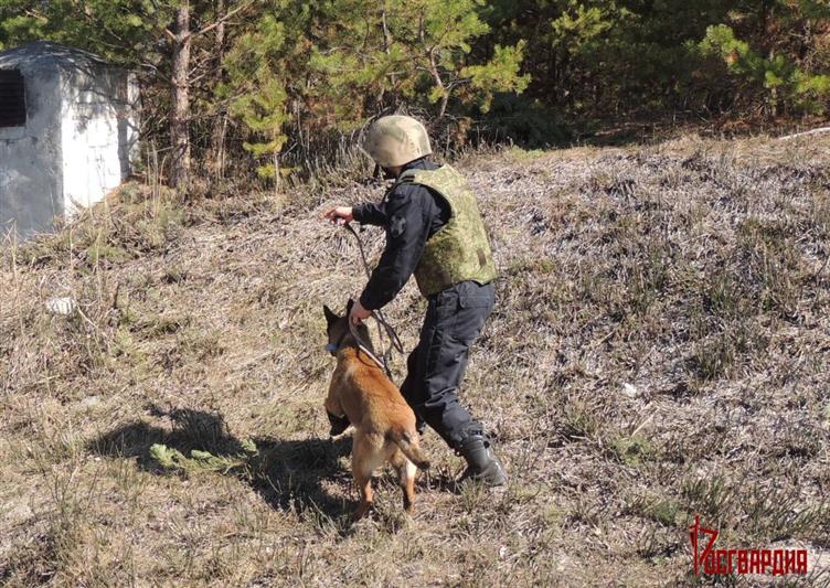 В тюменском центре подготовки личного состава Росгвардии состоялся выпуск специалистов-кинологов