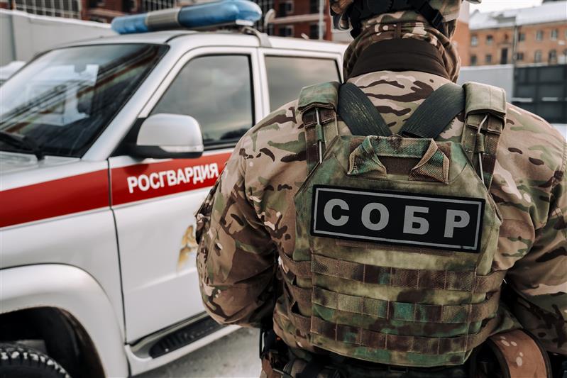 В Воронеже сотрудники Росгвардии задержали подозреваемых в мошенничестве в крупном размере