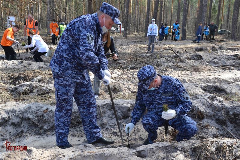 В Тамбовской области росгвардейцы присоединились к Международной акции «Сад памяти»