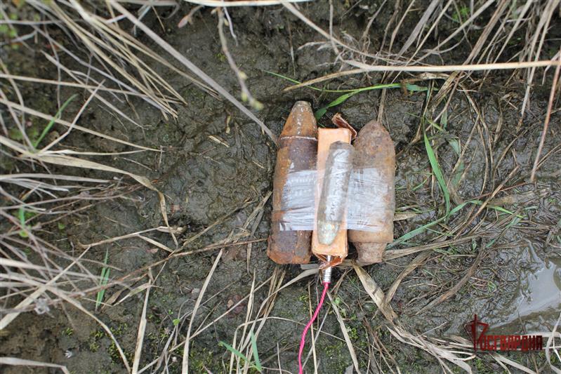 В Брянской области сотрудники Росгвардии обезвредили боеприпасы времён Великой Отечественной войны