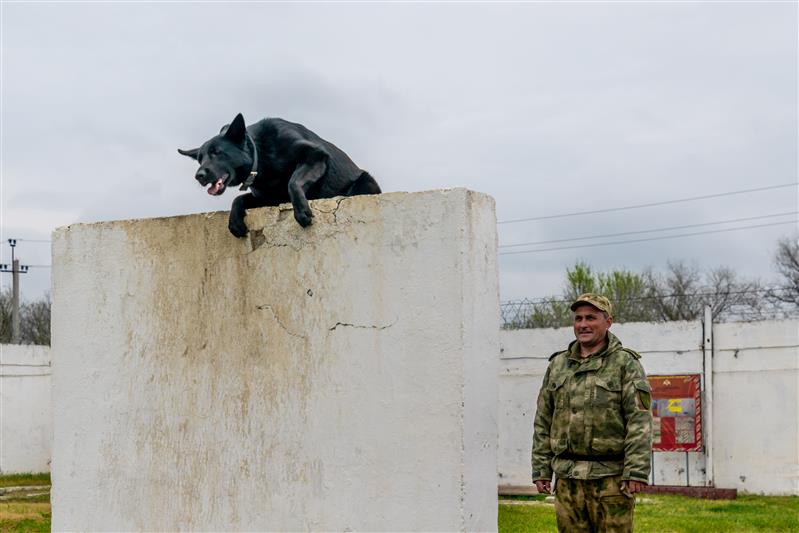 В Зеленокумске прошли сборы специалистов-кинологов Росгвардии