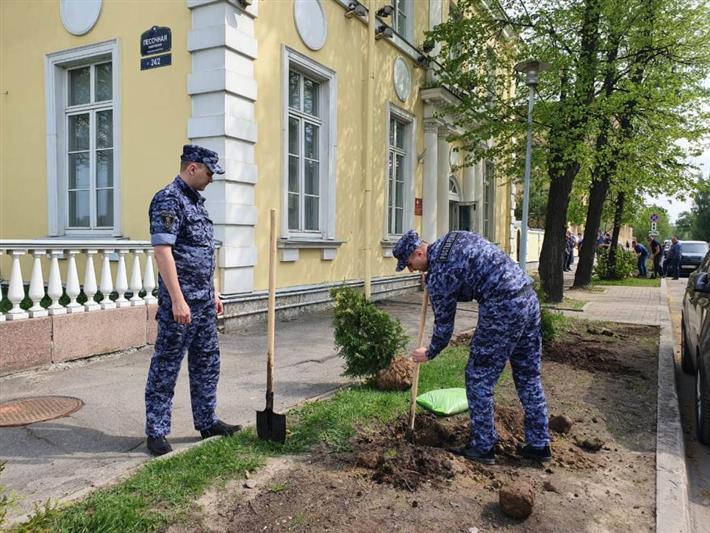 В Северной столице сотрудники Росгвардии высадили аллею в честь городов-героев