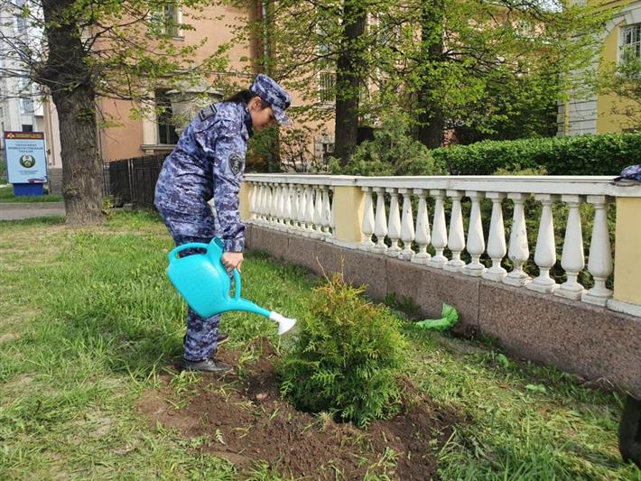 В Северной столице сотрудники Росгвардии высадили аллею в честь городов-героев