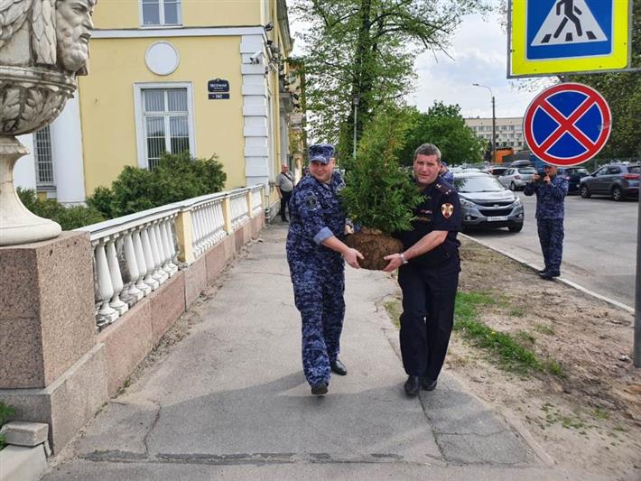 В Северной столице сотрудники Росгвардии высадили аллею в честь городов-героев