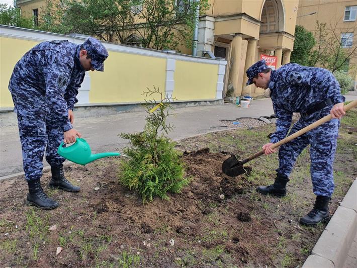 В Северной столице сотрудники Росгвардии высадили аллею в честь городов-героев