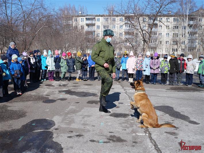 Военнослужащие Росгвардии и сотрудники Госавтоинспекции организовали тематическое мероприятие для северских школьников 