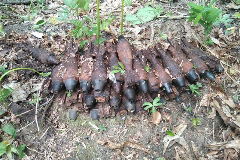 Сотрудники Росгвардии уничтожили 43 боеприпаса времен Великой Отечественной войны в Краснодарском крае