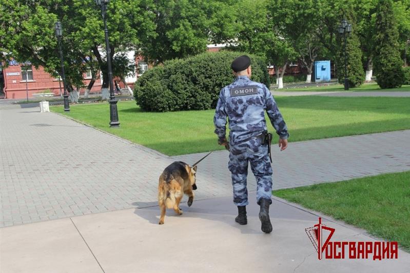 Росгвардия приняла участие в обеспечении безопасности последних звонков в учебных заведениях Урала