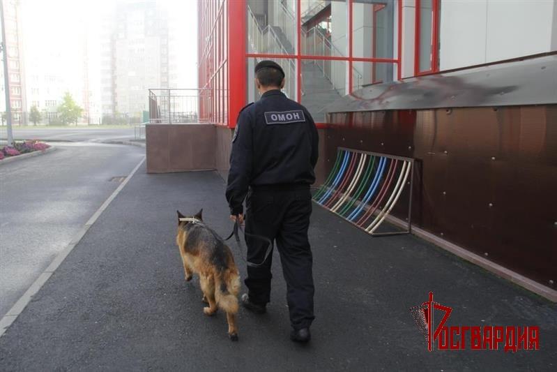 Росгвардия приняла участие в обеспечении безопасности последних звонков в учебных заведениях Урала