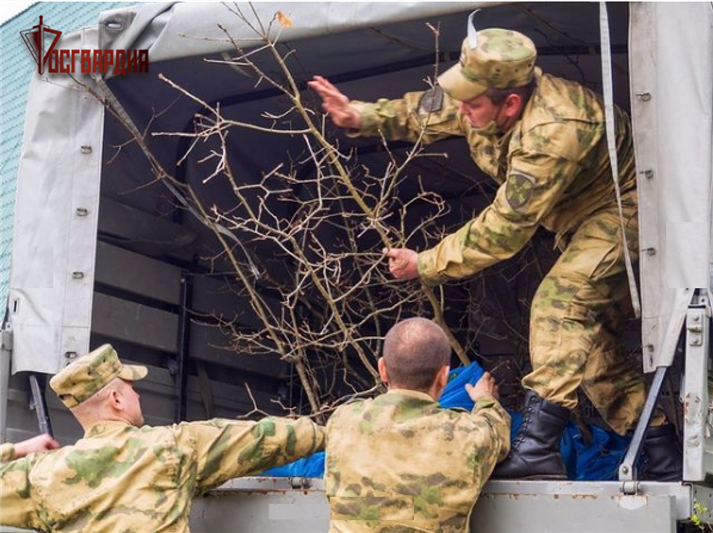 Росгвардейцы высадили деревья в брянском «Саду Победы»