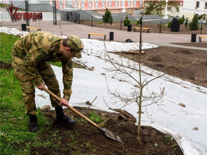 Росгвардейцы высадили деревья в брянском «Саду Победы»