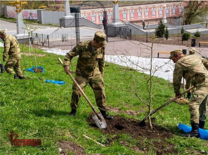 Росгвардейцы высадили деревья в брянском «Саду Победы»