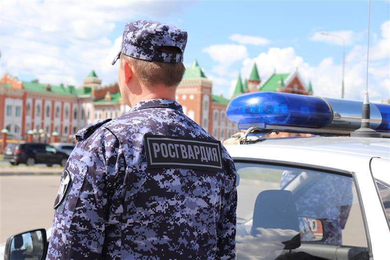 Росгвардейцы предотвратили пожар на охраняемом объекте в Морках 