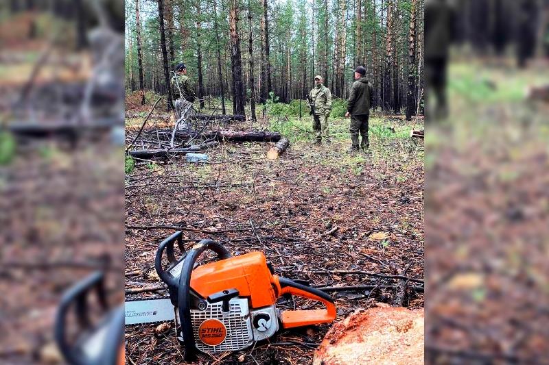 В Бурятии росгвардейцы пресекли незаконную рубку леса