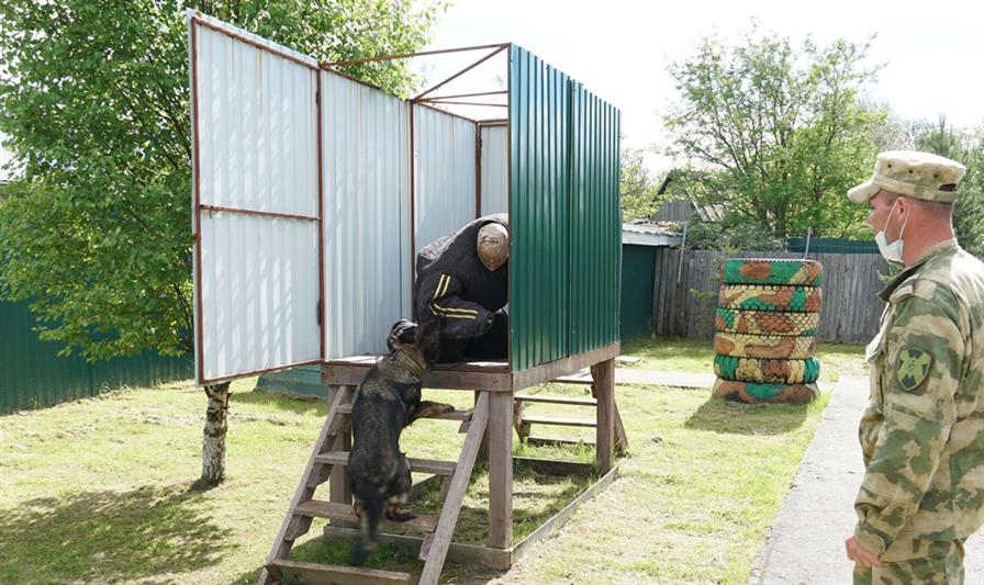 Кинологи отряда спецназначения «Ратник» Северо-Западного округа Росгвардии рассказали журналистам о своей службе