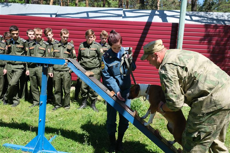 Кинологи Росгвардии провели для курских кадет мастер-класс по дрессировке собак 