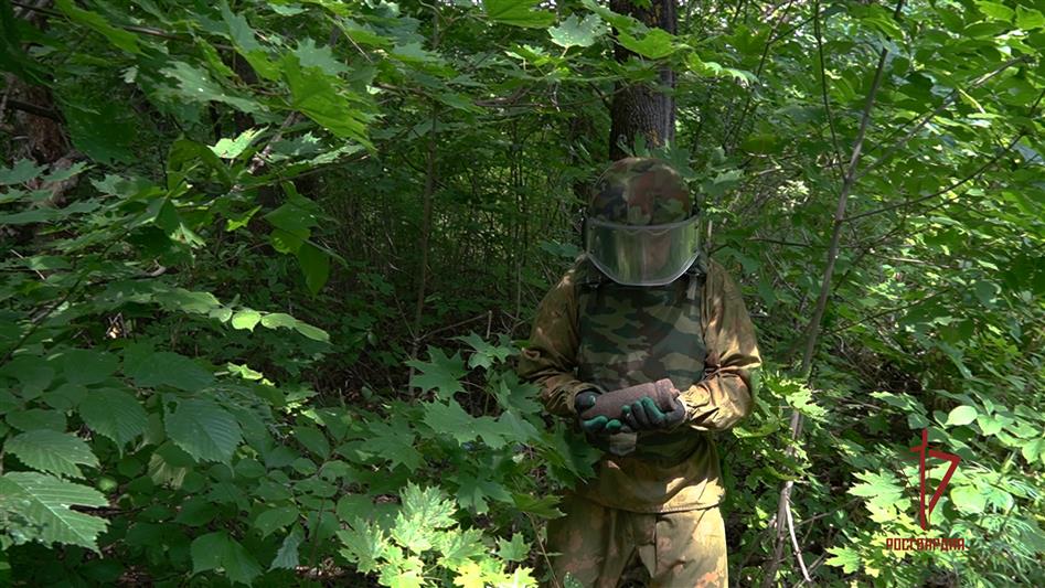 В Пензенской области сотрудники Росгвардии уничтожили снаряды времен Великой Отечественной войны 