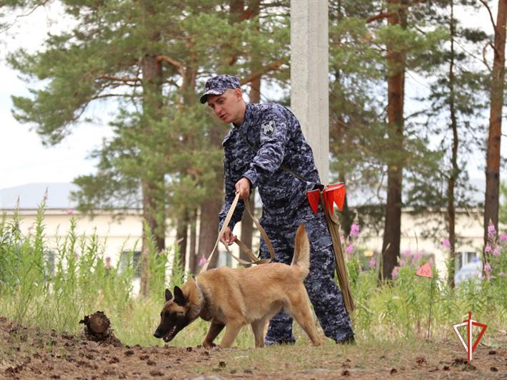 В Уральском округе Росгвардии определили лучших кинологов (видео)