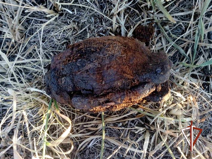 Взрывотехники ОМОН уничтожили боеприпас, обнаруженный жителем  деревни Суслово Курганской области 